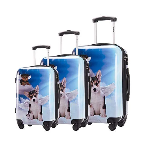 Chariot Luggage Light Weight PC+ABS Spinner Suitcase Sets 20/24/28inch TSA Lock Available Dream